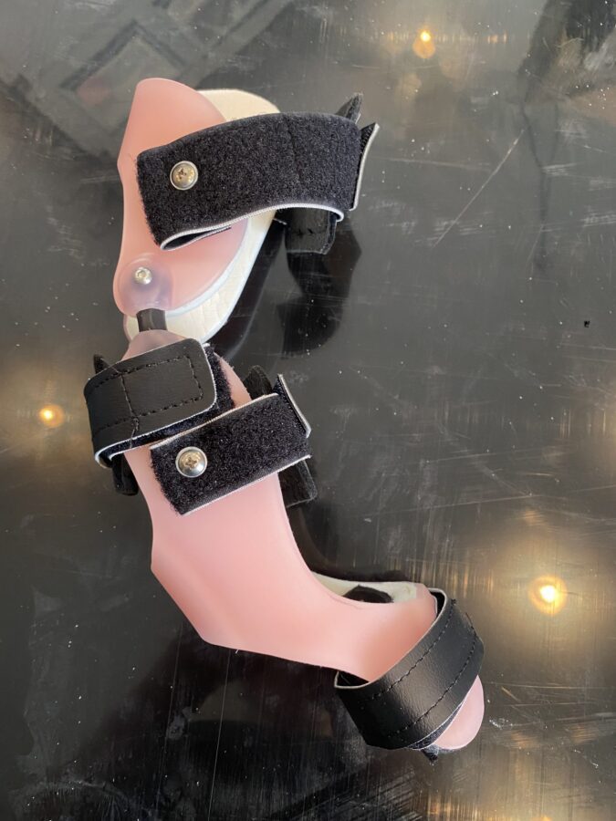 Dog Knee Brace Increase Their Quality of Life Specialized Pet Solutions